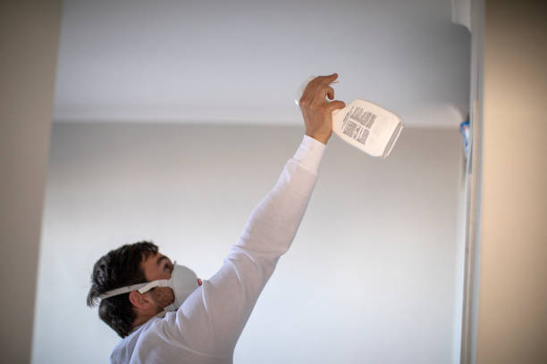 Best Mold Removal Company Near Me  in Hauppauge, NY