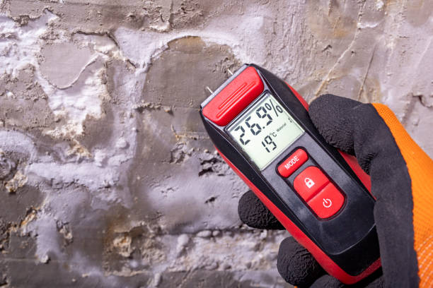 Best Certified Mold Removal  in Hauppauge, NY