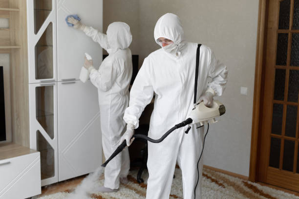 Mold Testing and Removal in Hauppauge, NY