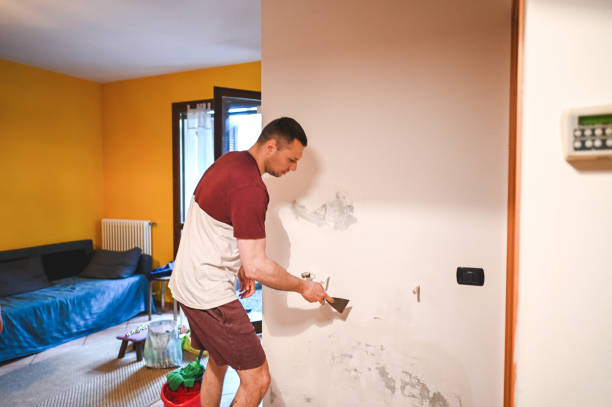 Best Mold Removal Near Me  in Hauppauge, NY